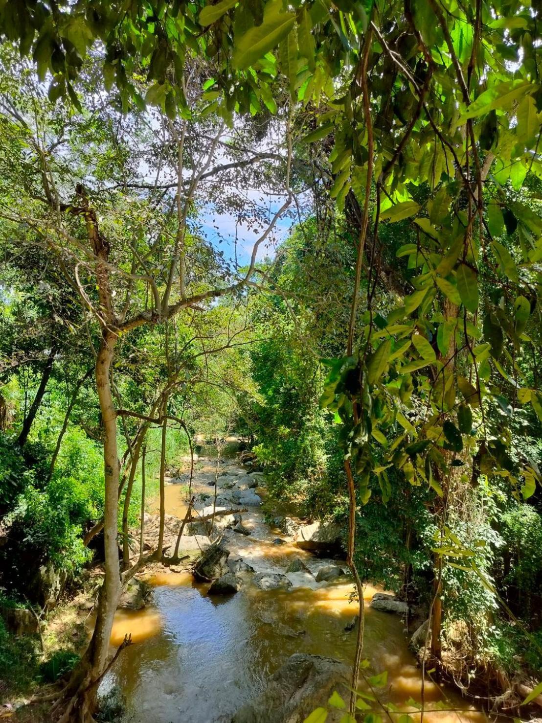 Maesa Greenery Hill Sha Mae Rim Exterior foto